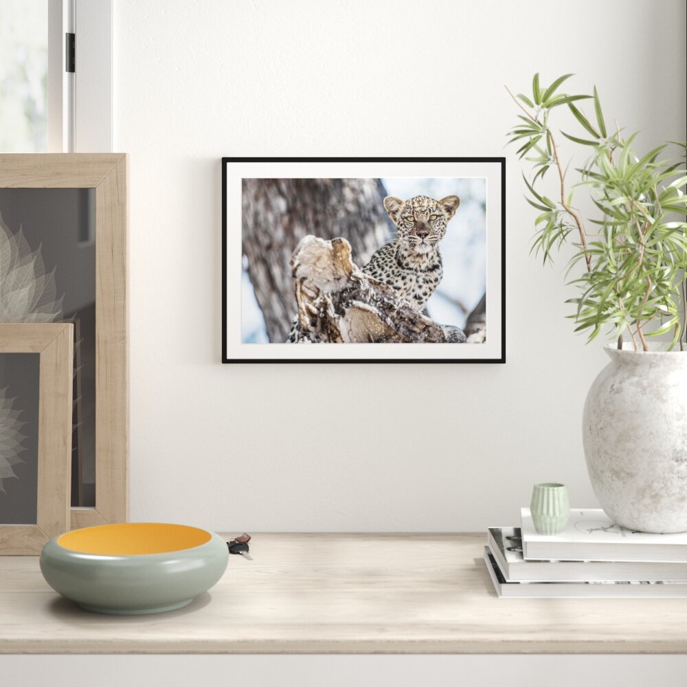 Gerahmtes Poster Leopardjunges auf Baum