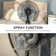 Misting Amesha 120Cm Oscillating Standing Fan