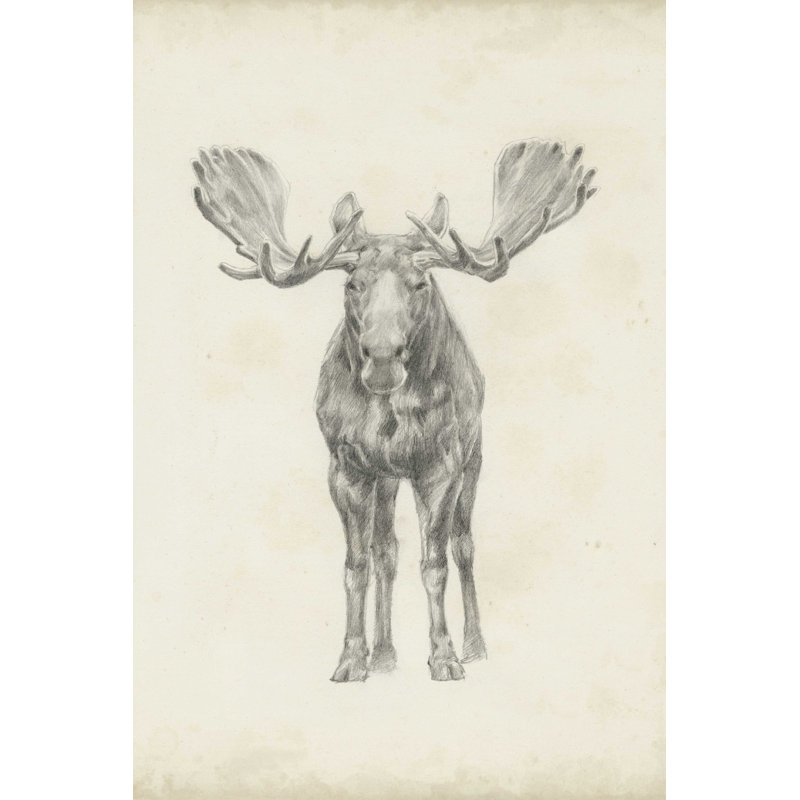 " Moose Study " Painting Print, 30" H x 20" W  