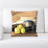 Microsuede Reversible Throw Pillow