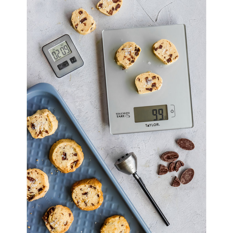 Taylor Digital Scale