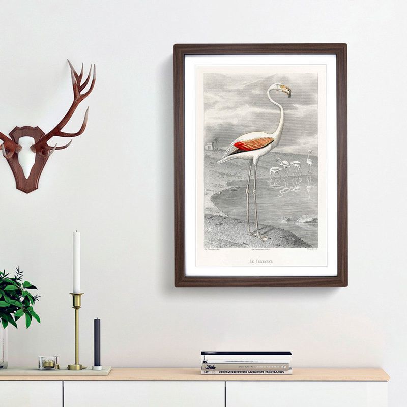 A Flamingo by Edouard Travies - Picture Frame Painting Print, Walnut Framed, 87cm H x 62cm W x 2cm D