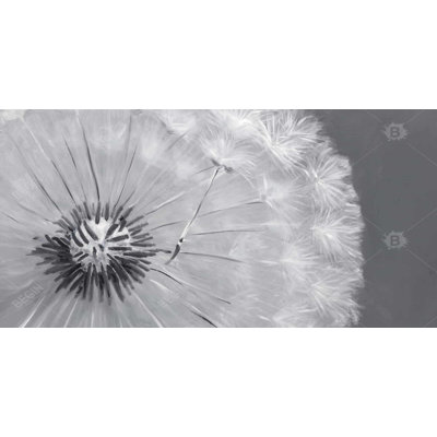 Dandelion puff ball - 15.75"x31.50" Desk mat