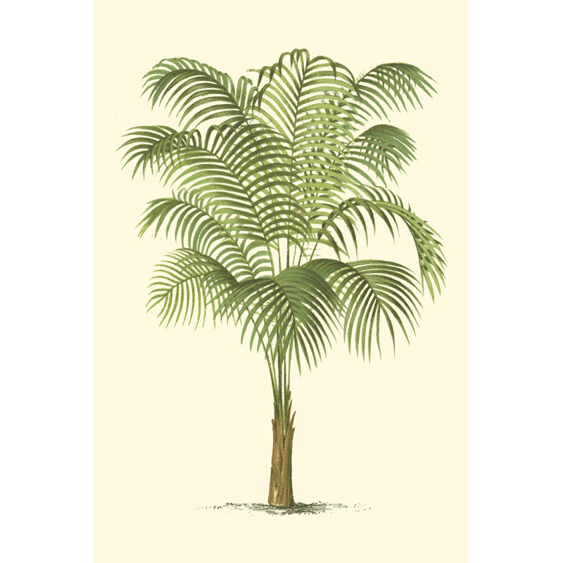 Palmier côtier III, H 12 po x l 8 po x P 1,25 po