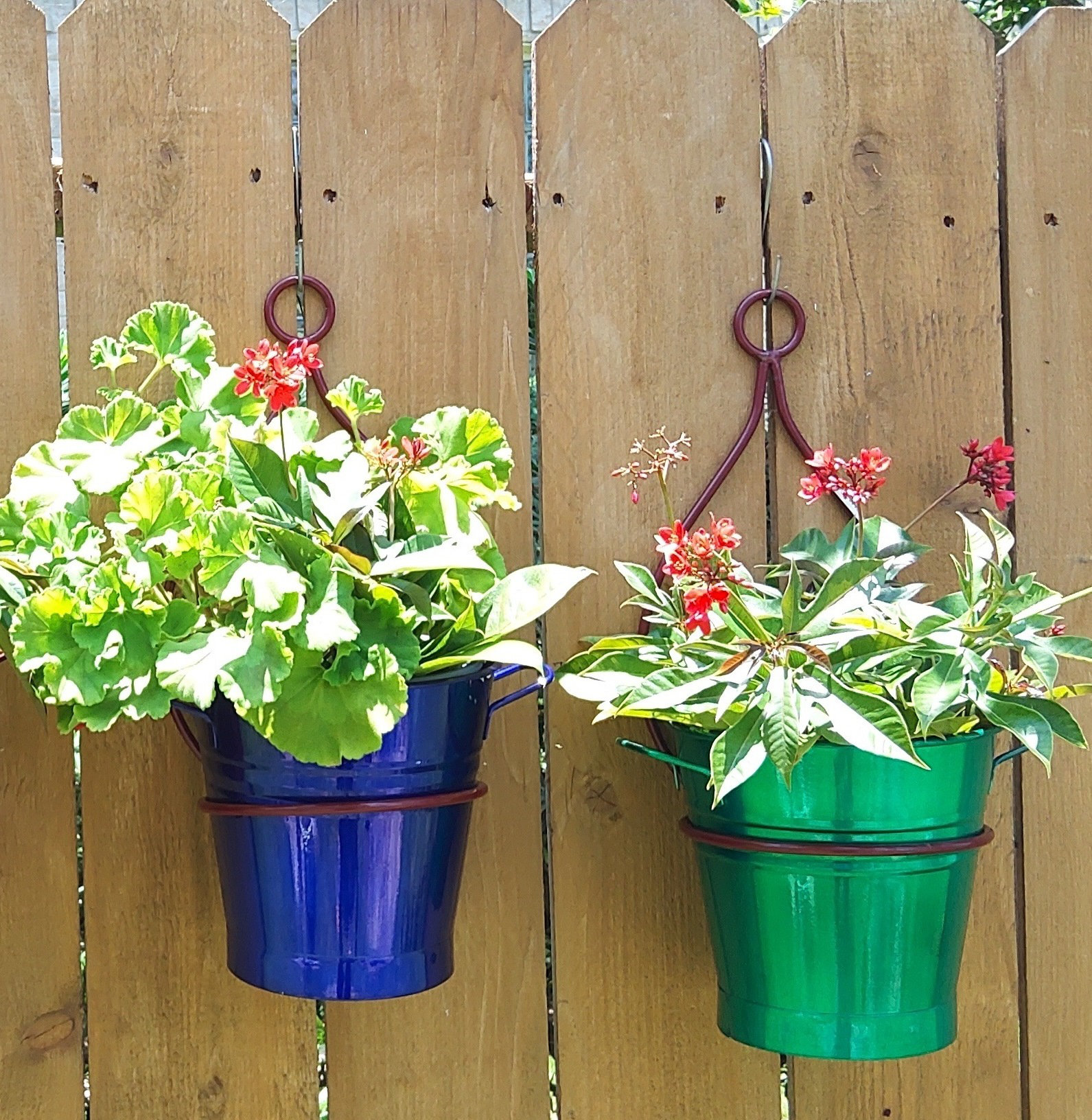 Gracie Oaks Fairstead Metal Railing Planter & Reviews Wayfair