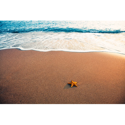 Starfish On Beach by Borchee - No Frame Art Prints on Canvas