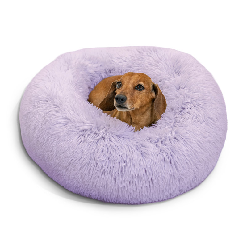 Lit pour animaux en fausse fourrure Tucker Murphy Pet ™, Small (23" W x 23" D x 7" H), Lavande à poil long