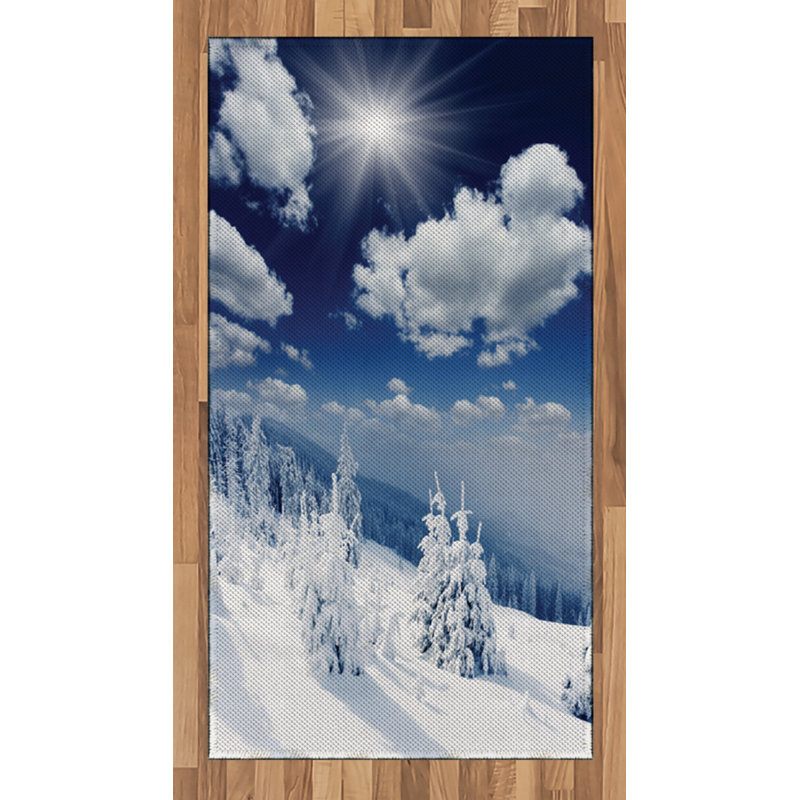 White High Density Long Fiber Poly Threads Decorative Area Rug Carpet, Rectangle 2'7" x 5'