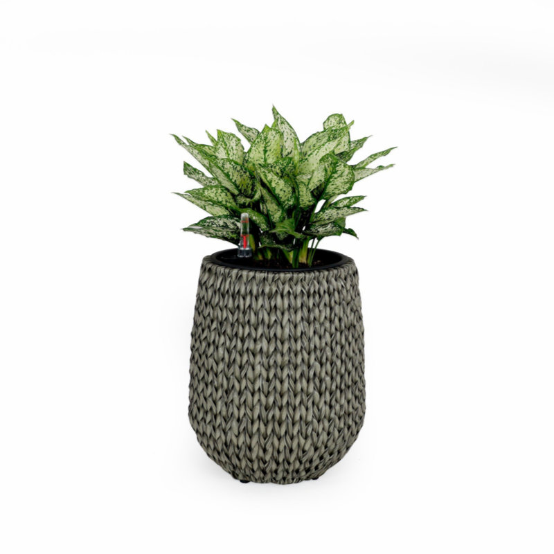 Pot à fleur Barmore, 9.4" H x 10.2" W x 10.2" D, Gris