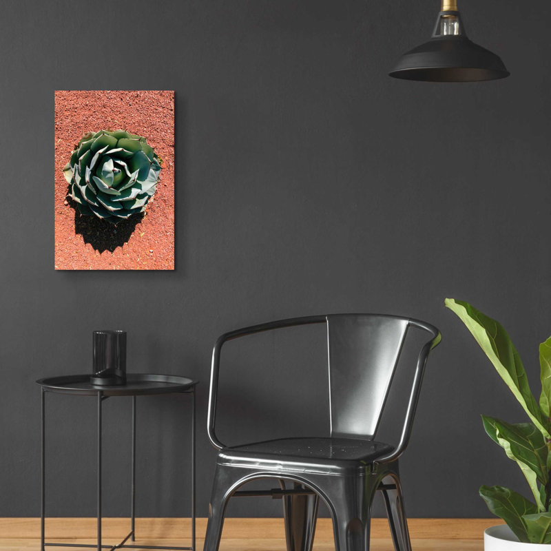 Dakota Fields 'Utah - Cactus 3' By Epic Portfolio, Acrylic Glass Wall Art, 12"X16", H 24 po x l 16 po x P 0,2 po