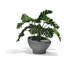 Luna Planter-921280418-921280427