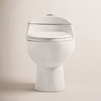 Château 1-Piece Dual-Flush Toilet