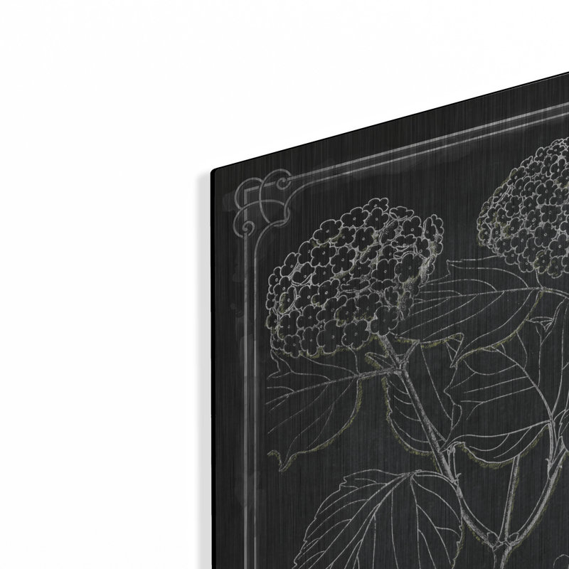 «August Chalkboard Botanical 1» par Augusta, H 24 po x l 24 po