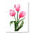Toile tendue