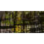 Parvez Taj - Wrapped Canvas Print-12309755