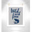 Impression sur papier Rolled Wild Shark-100541019-47479664