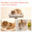 Amarina Cat Tree-85019316-113989230