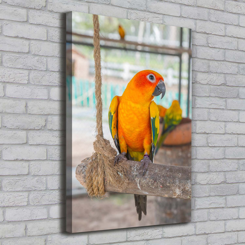 Parrot - Wrapped Canvas Print