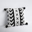 Tassels Indoor/Outdoor Throw Pillow