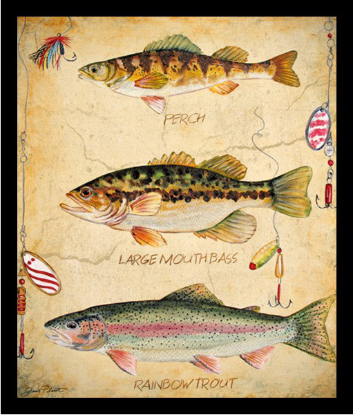 " Fish Hooks, Perch, Large Mouth Bass And Rainbow Trout Poster " by Jean Plout Highland Dunes 