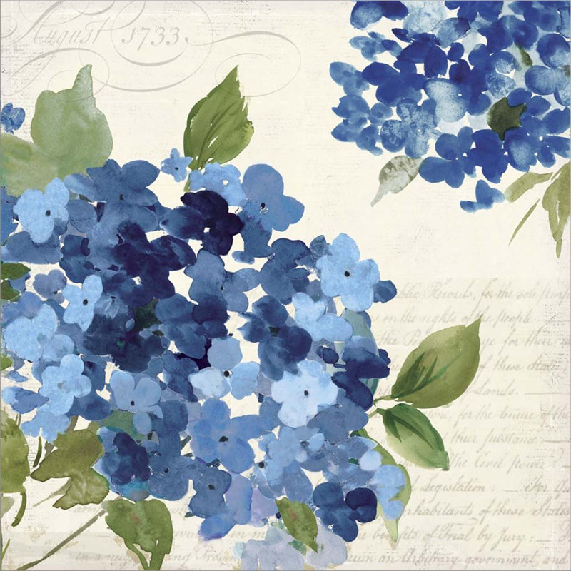 Hampton Hydrangea I par Asia Jensen, art mural encadré