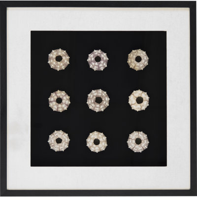 Paper Wall Decor
