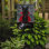 Drapeau de jardin 15 po x 11,5 po Shahe Halloween Vampire Scottie