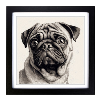Pug Drawing No.2 - Single Picture Frame Print on Wood