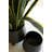  Decorative Iron Planters with Legs – 17" Tall Set of 2