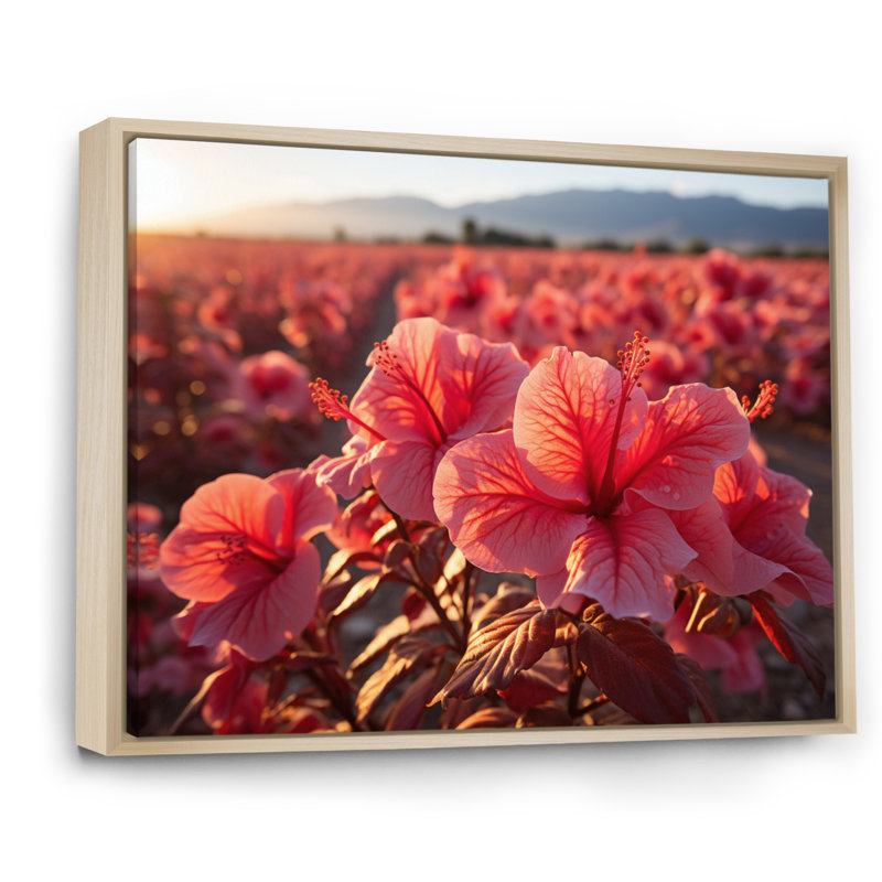 Hibiscus Field Vue aérienne, impression sur toile, Cadre naturel flottant, H 16 po x l 32 po x P 1 po