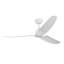 Hugo Smart Outdoor Downrod Ceiling Fan-1413694407