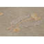 Rug & Kilim’S Block Print Rug With Ochre And Beige Wildflower Florals