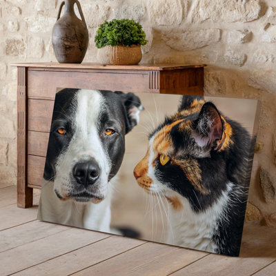 Toile, art mural de gros plan Portrait d'un chien et d'un chat se regardant les uns les autres présentant leurs visages expressifs