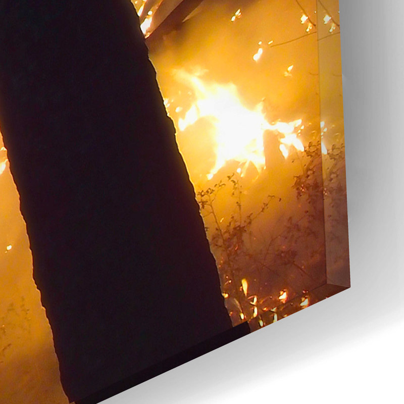 «Burning Forest» par Thomas Haney, art mural en verre acrylique, H 12 po x l 16 po x P 0,13 po
