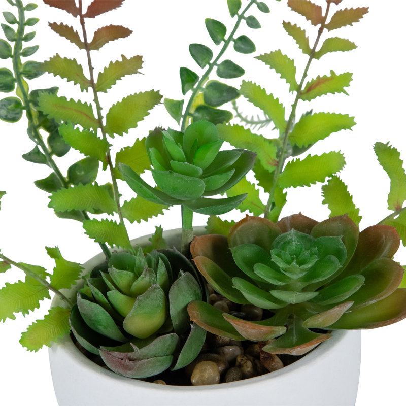 Plante grasse artificielle en pot 11,5 po