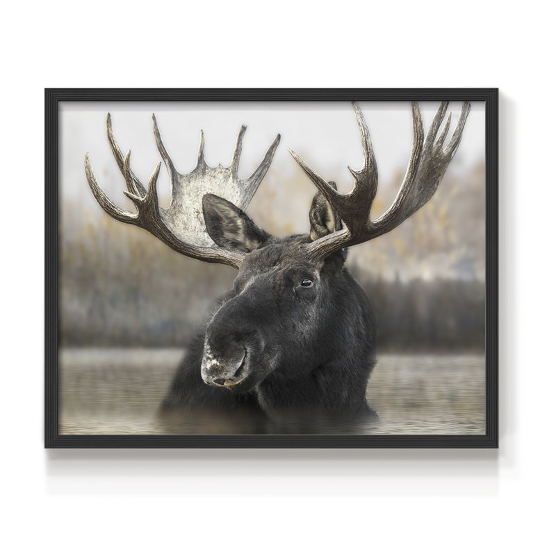 Moose Spa - reproduction encadrée - réarmable, H 22 po x l 28 po, Noir, noir, noir, noir