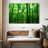 Alvord Sunlit Green Forest-107688138