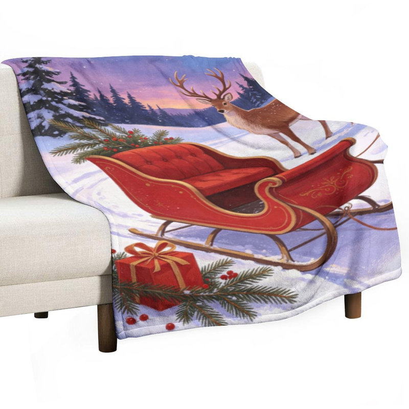 Jeté de traîneau avec flanelle de luxe, couverture douce et chaude pour le canapé-lit du salon, 30 po x 40 po