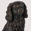 Serre-livres Cavalier King Charles Spaniel-129983932