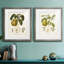 Vintage Pears I - ensemble de 2 reproductions d'art sur toile encadrées