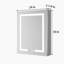 Tankersley Recessed or Surface Mount Frameless 3 Door Medicine Cabinet with 6 Adjustable Shelves and Lighting-1587928938-1587928937
