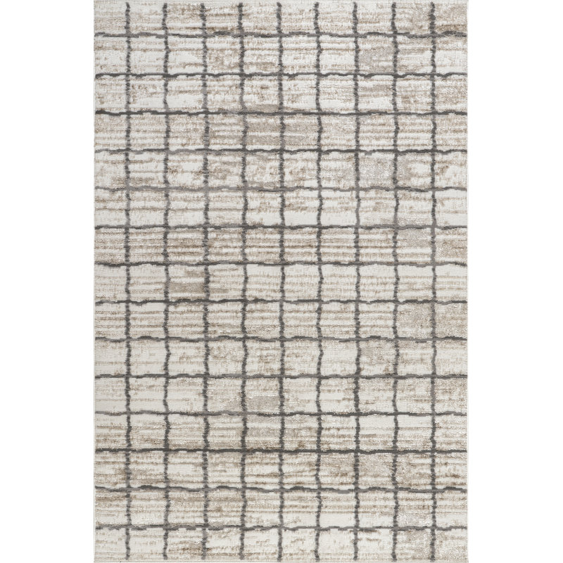  Xylia Checkered Area Rug, Rectangle 4' x 6'