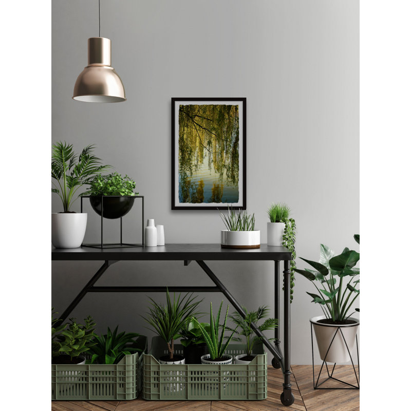 «Vines And Branches», reproduction encadrée, H 12 po x l 8 po x P 1,5 po