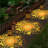 Butterflies Solar Powered Integrated LED Outdoor Lantern (Set of 2) Solar Lighting