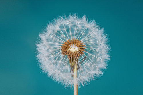 Wrapped Canvas Print, 50.8 cm H x 76.2 cm W