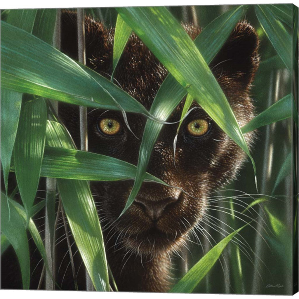 Black Panther - Wild Eyes By Collin Bogle, Canvas Wall Art Red Barrel Studio® 