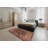 Oriental Indoor Rug-1684669351