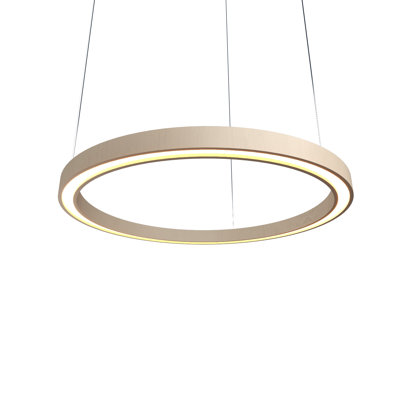 1 - Light Chandelier