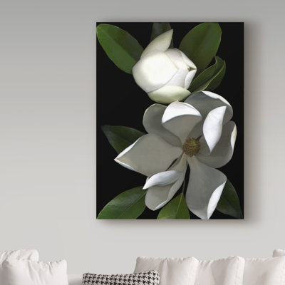 Dosta 'White Magnolia' by Graphic Art Print on Wrapped Canvas