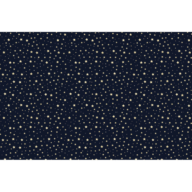 Paire de rideaux obscurcissant en polyester Mikayeel, L 20 po x L 61 po